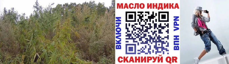 hydra как войти  Таруса  ТГК гашишное масло 